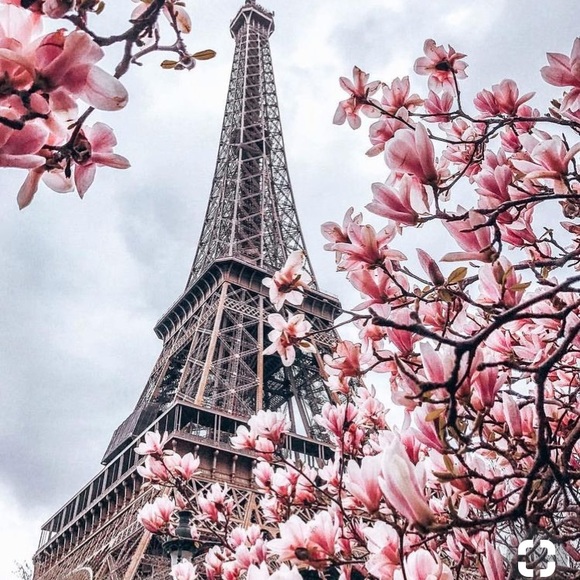 Meet your Posher, Emma - Picture 1 of 1